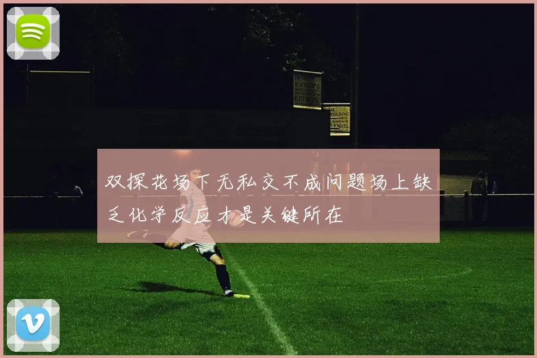 双探花场下无私交不成问题场上缺乏化学反应才是关键所在