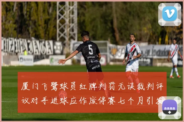 厦门飞鹭球员红牌判罚无误裁判评议对手进球应作废停赛七个月引发热议